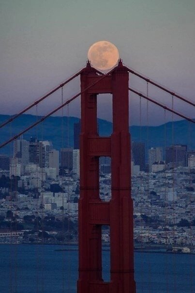 Положили Луну