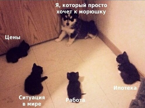 Фото: yandex.ru. Жизненно.