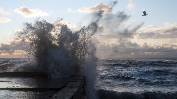   © РИА Новости . Ekaterina Lyzlova