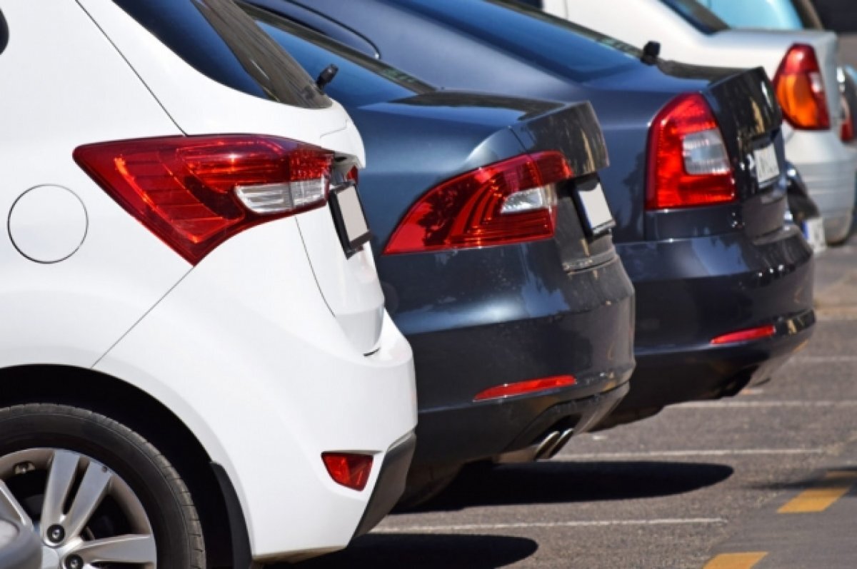    Мэрия Тольятти через суд заставила предпринимателя убрать автостоянку