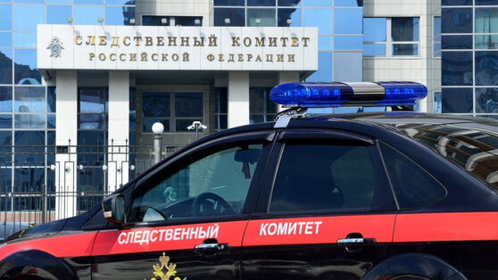    В СКР возбудили уголовные дела по 3 статьям после нападения диверсантов в Брянской области Ксения Пудовкина