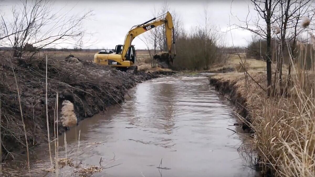    Кадр видео строительства рва в Ровенской области на границе Украины и Белоруссии, опубликованного Виталием Ковалем