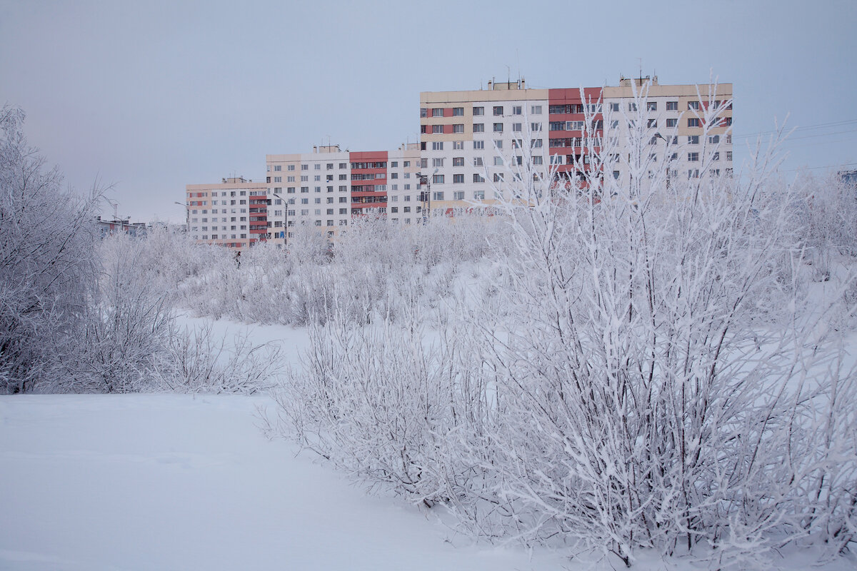 Фото: Виктор Печенев / GeoPhoto