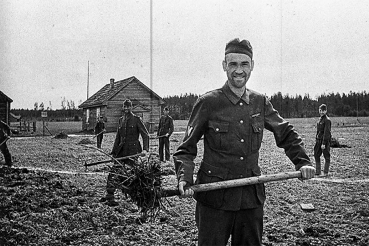 Как пленные фрицы строили дома в СССР, чем эти здания отличаются от других  | Загадки истории | Дзен