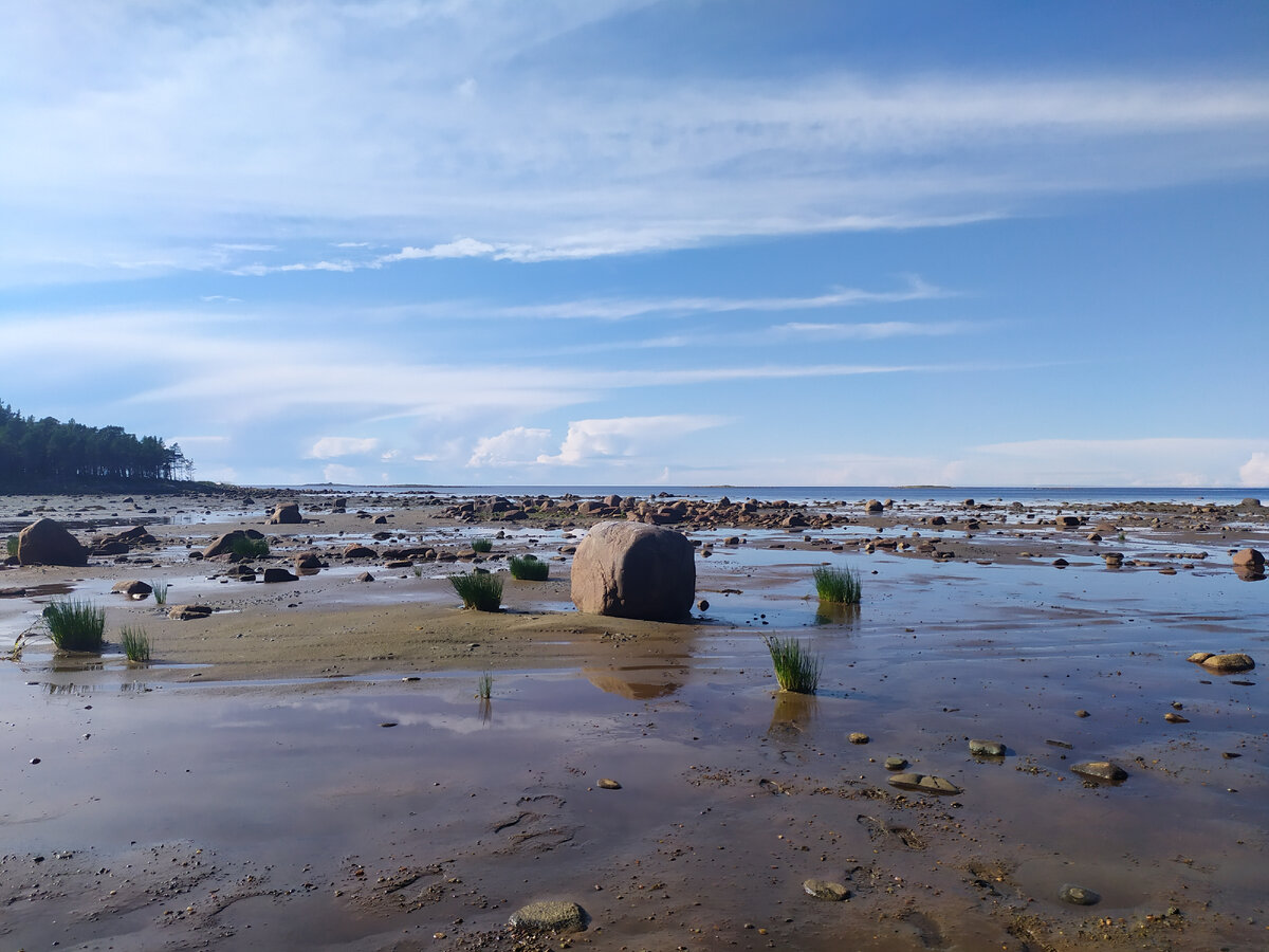 белое море со спутника