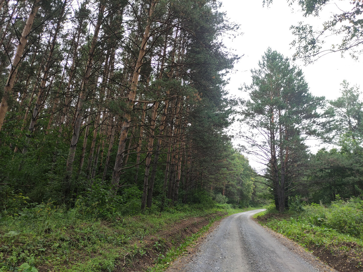 Скоро выедем на полянку