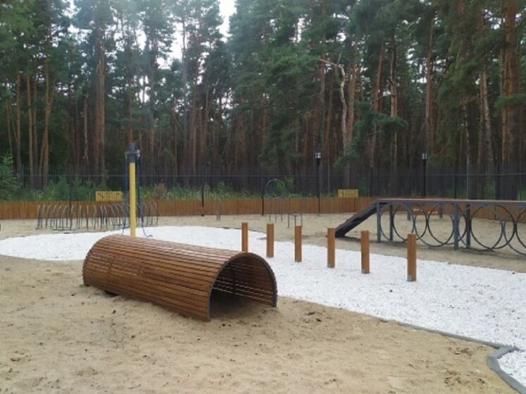     В Шебекино открылась площадка для выгула собак. Фото: belregion.ru