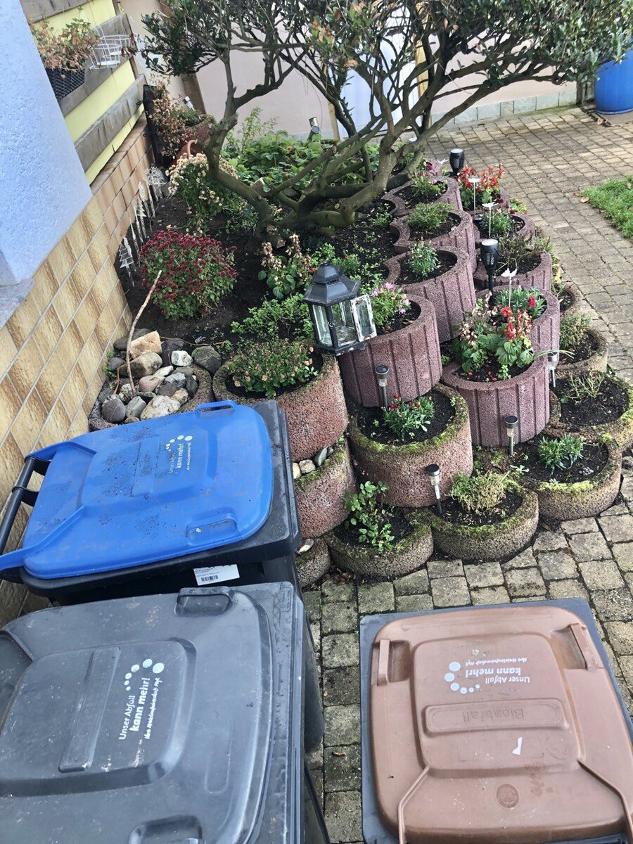 Мусорные баки во дворе у друзей