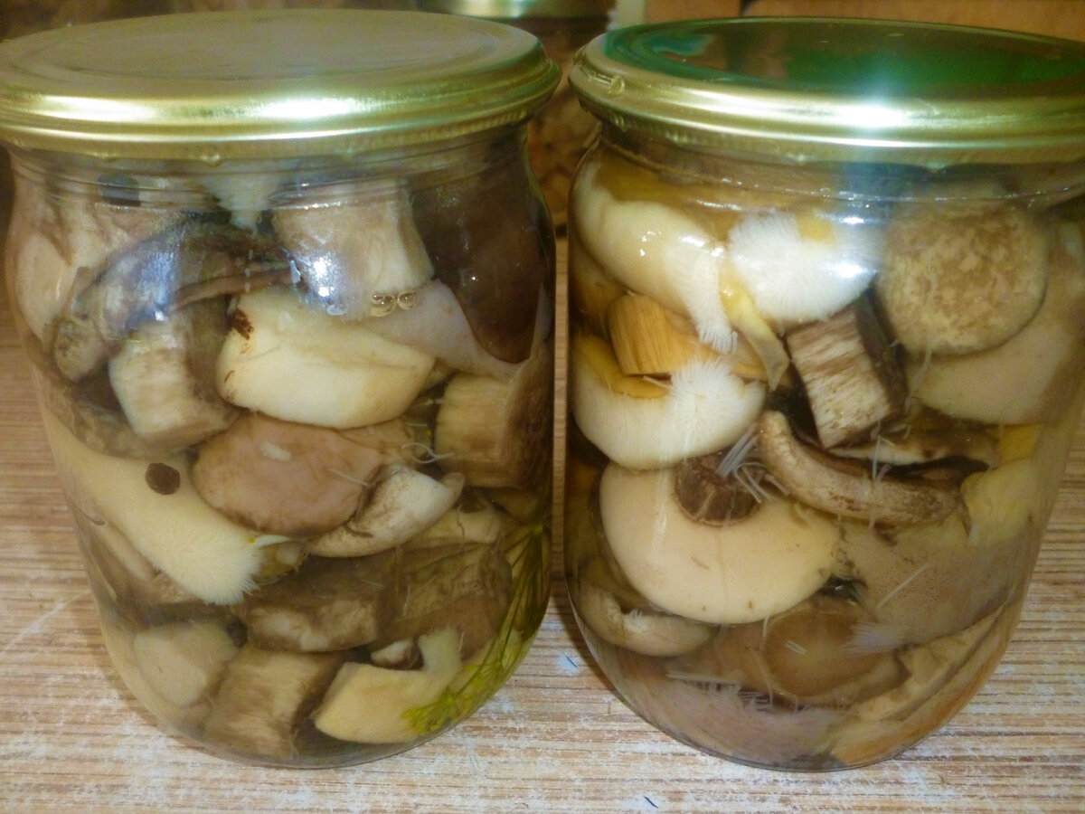 Как быстро замариновать грибы к столу подберезовики
