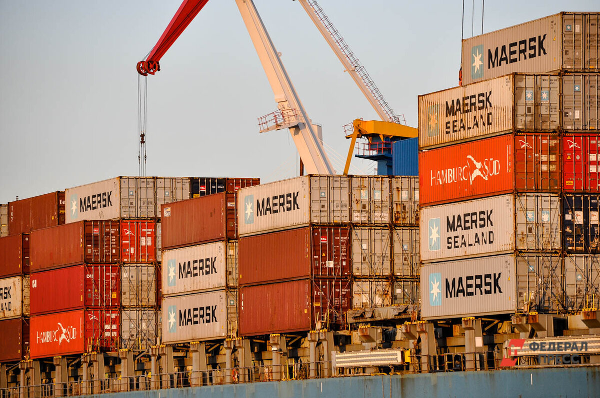 Наркотики доставили в порт Петербурга.  Фото: Екатерина Лазарева