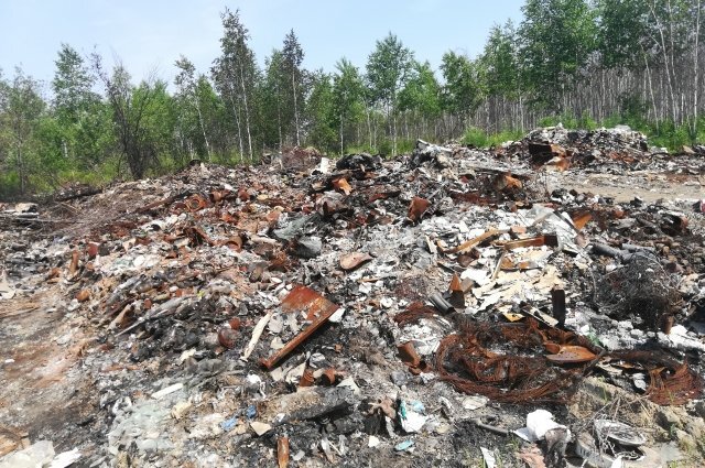    Что за споры вокруг риса, выращиваемого рядом со свалкой на Кубани?