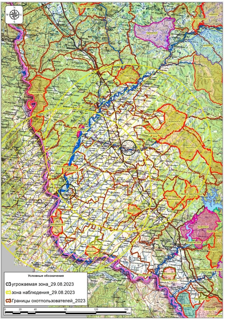    Фото: управление по охране животного мира Амурской области