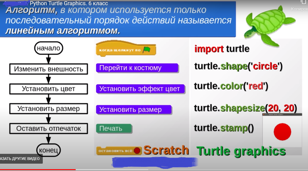 Turtle координаты. Turtle координаты