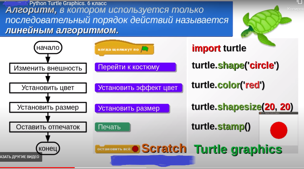 Turtle координаты