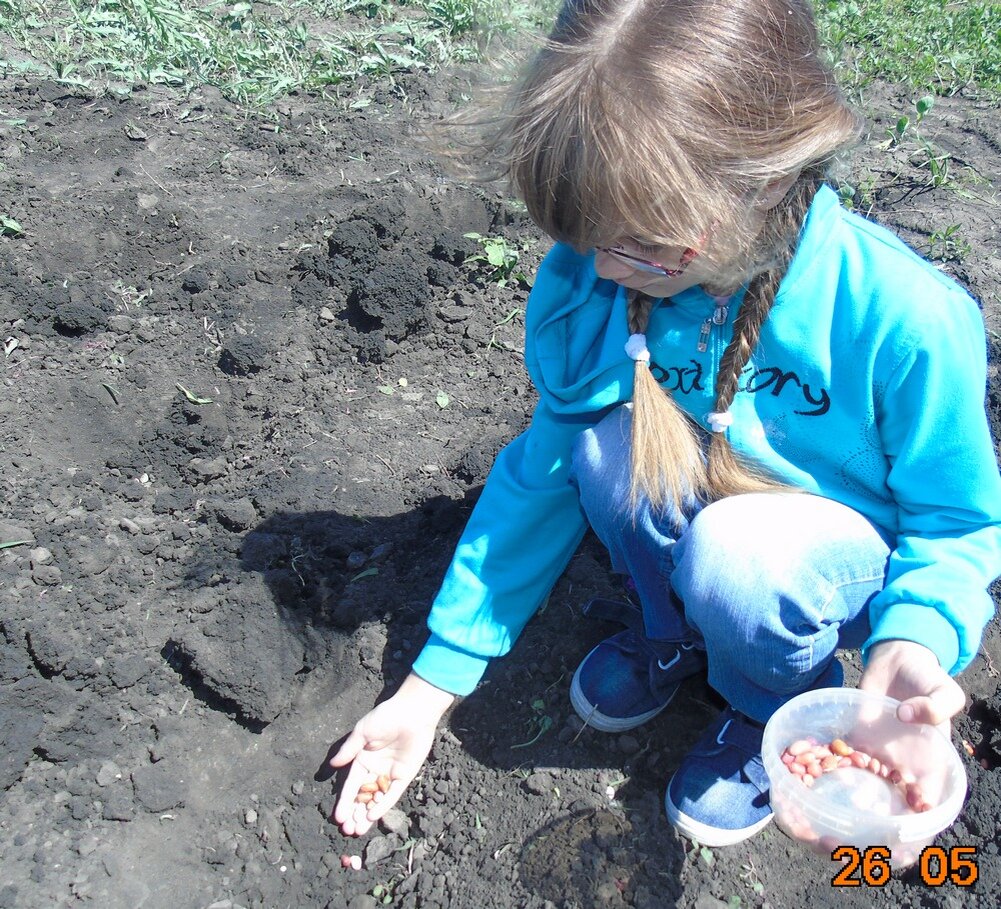 Кладём в луночки семена. Фото из личного архива Софьи Скворцовой 