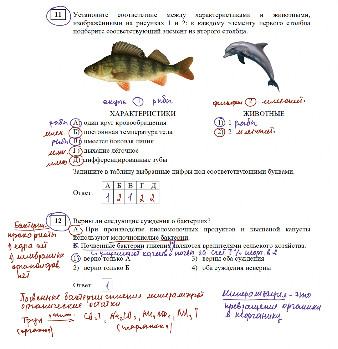 биология (егэ). подготовка к огэ по биологии 2022. огэ 2021 биология кириленко колесников. кириленко биология 9 класс огэ. темы по биологии 9 класс огэ 2024.