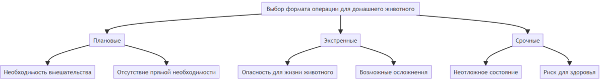 На картинке виды операций, которые проводит с животными ветеринар