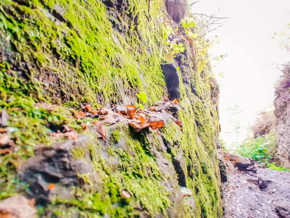 Левая стена