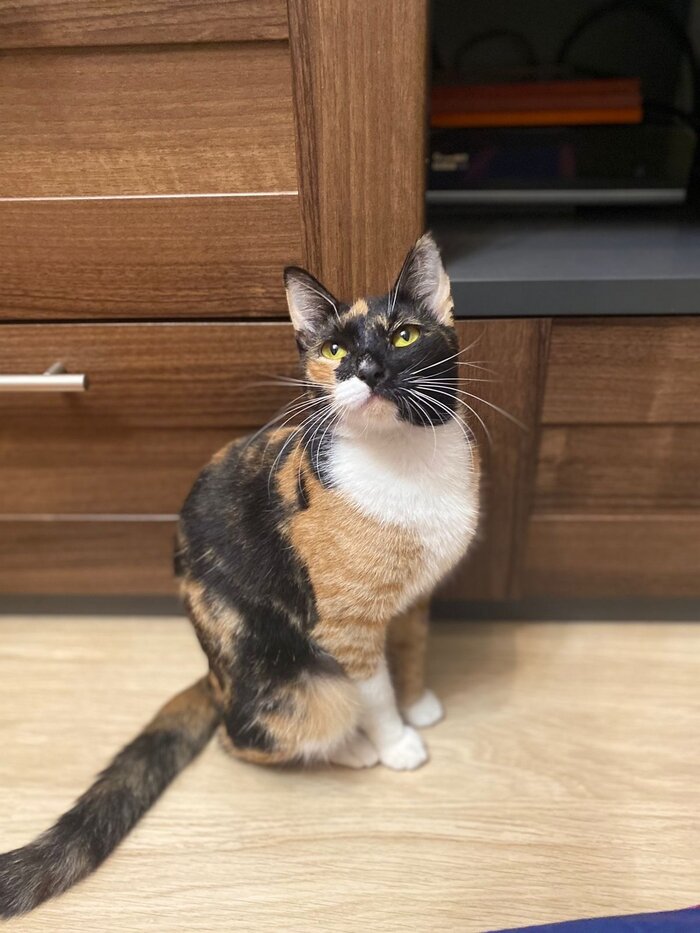 Листайте вправо, чтобы увидеть больше изображений