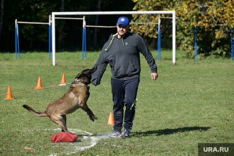   В Ханты-Мансийске появятся новые площадки для выгула и дрессировки собак