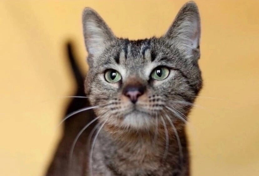 Я верю, что ты меня не предашь. мой Друг!