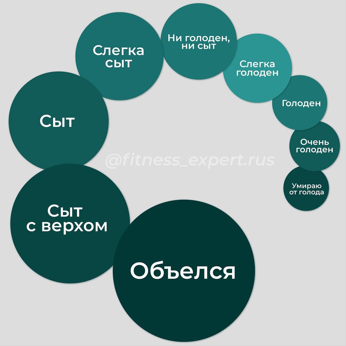 Шкала насыщения