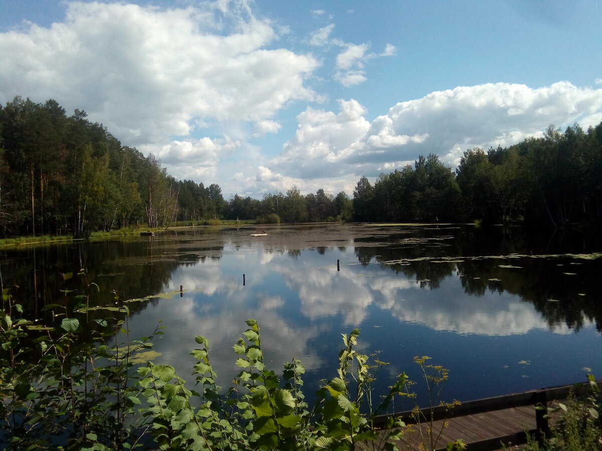 озеро лесное в омске