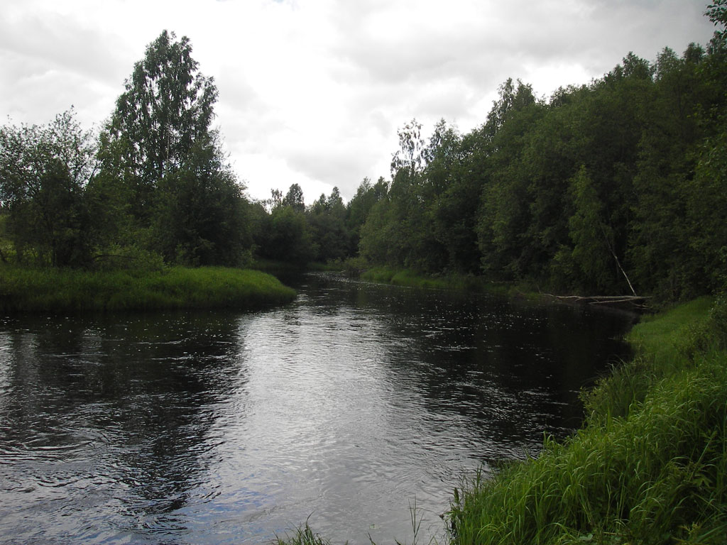 Сайт кулой. Кулой (река, впадает в белое море). П Кулой Архангельская область. Река Кулой.