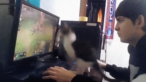 Какой игривый котенок