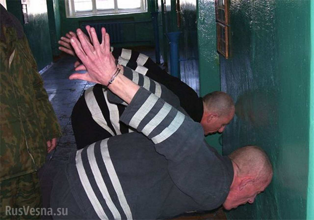 Чёрный Дельфин тюрьма. Колония особого режима белый лебедь. Александр Маслич черный Дельфин. Фонтанчик с черным дельфином тюрьмы.