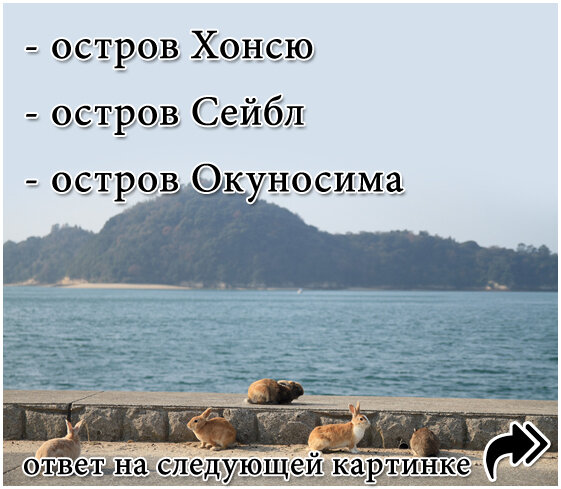 Вопрос №2. Проверьте свой ответ на следующей картинке...