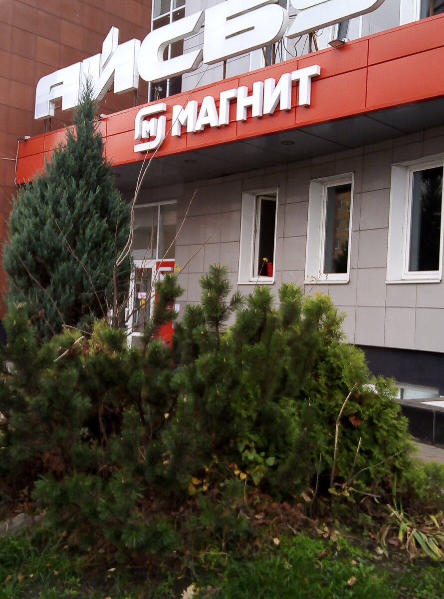 Стандартный магазин "магнит". 