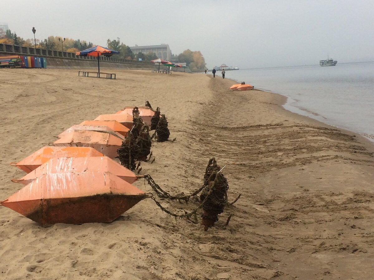 Берег Волги