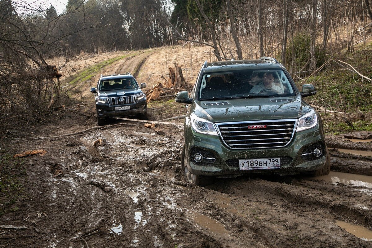 Битва Haval против Toyota Land Cruiser Prado. За кого из них россияне  проголосовали рублем и почему? | CarPortal | Дзен