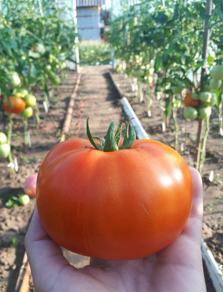 Фото от 20 июня 2019