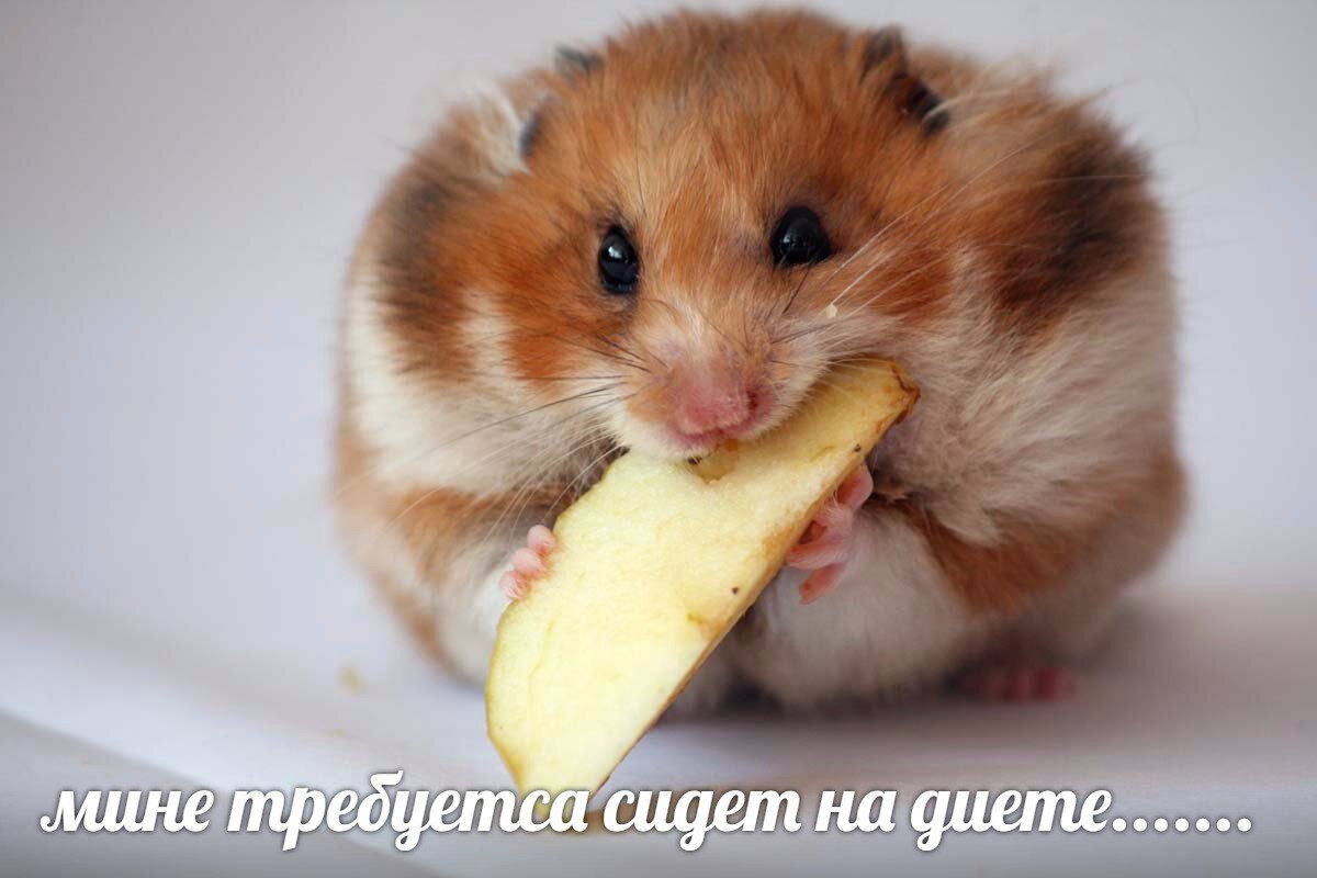 У меня просто кость широкая.
