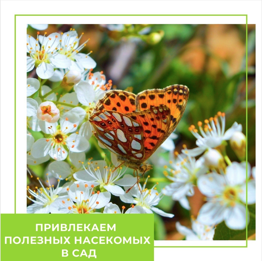 Источник Инстаграм