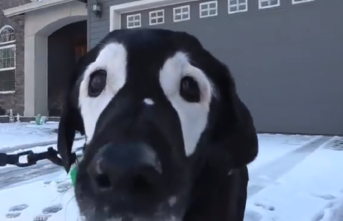 Источник: Youtube