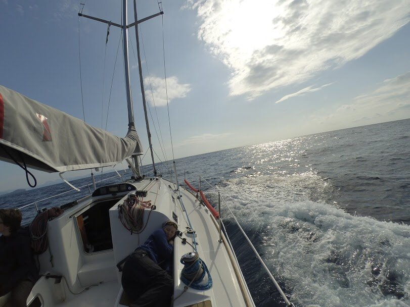 (Фотография: Марина Смирнова и Владимир Криницын)