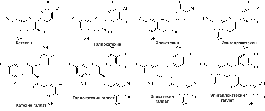 химическая формула зеленого чая. химический чай. химия чая инфографика. катехин структурная формула. химическая формула чая черного.