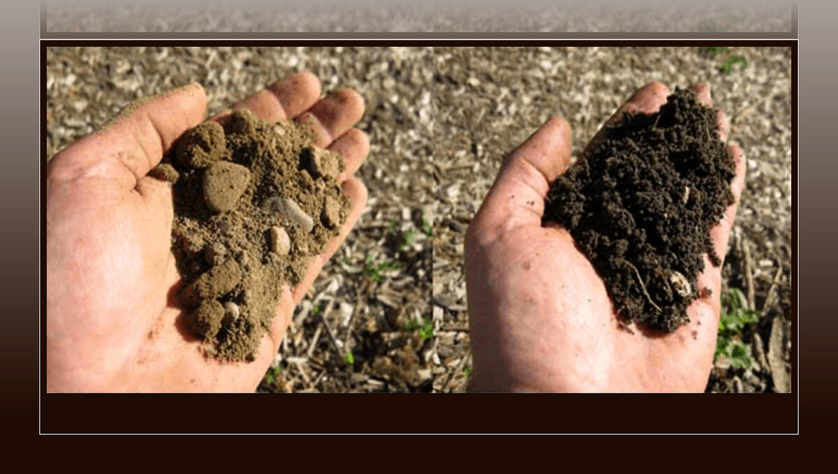 Почвы очень бедные либо вообще не формируются. Суглинистая почва. Плодородные и неплодородные почвы. Грунт для рыхлости почвы. Рыхлая почва.