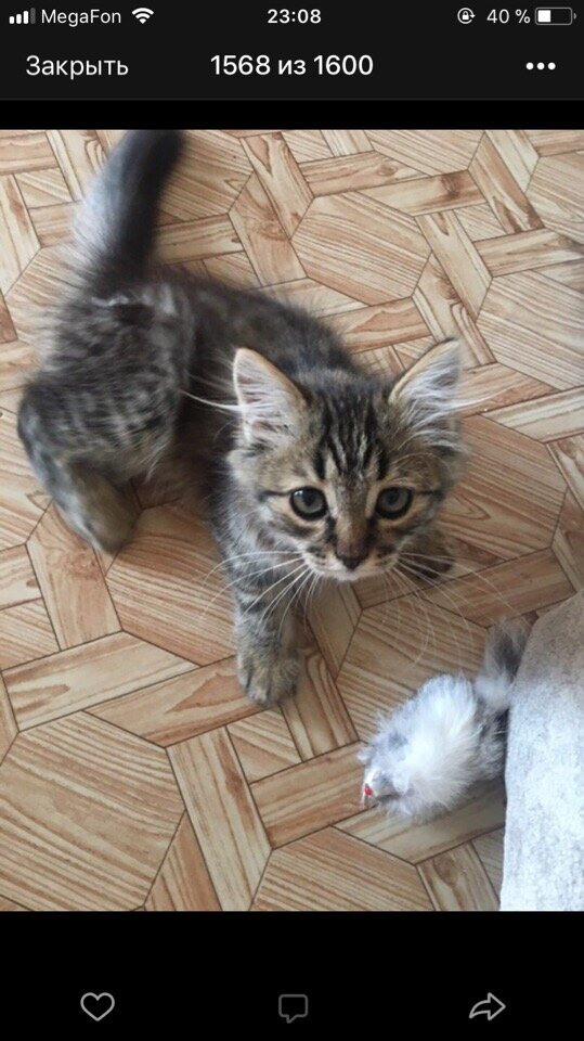 тут он, конечно, не только родился, но все равно маленький