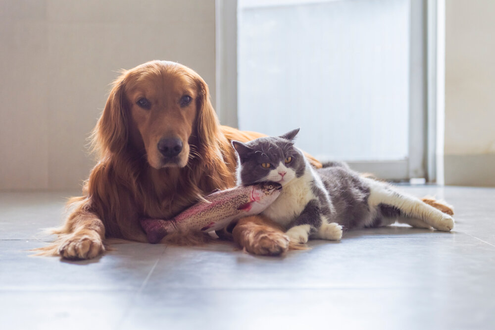 Фото: shutter stock 