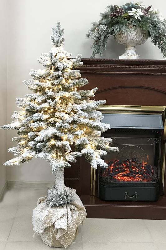 Фото из открытого источника