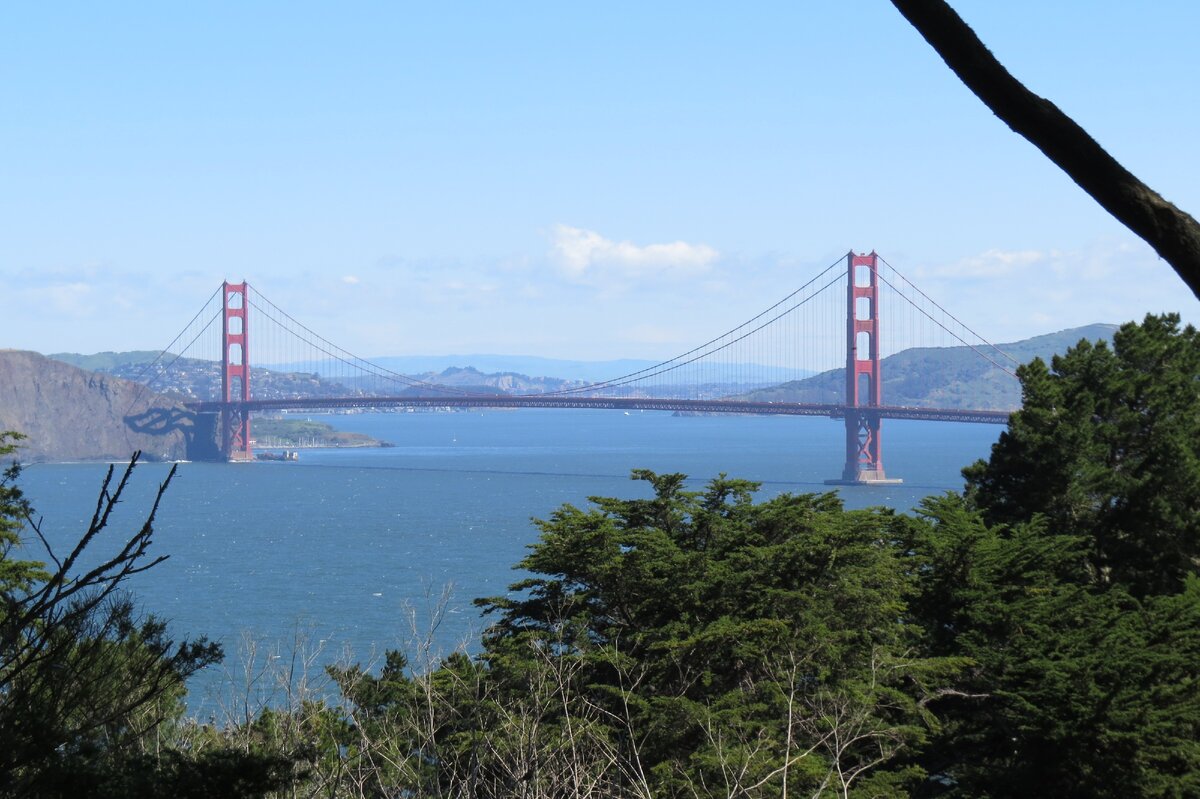 Сан-Франциско. 2016 год. Фото автора, которое не имеет ничего общего с данной статьёй, как и все последующие фотографии. 
