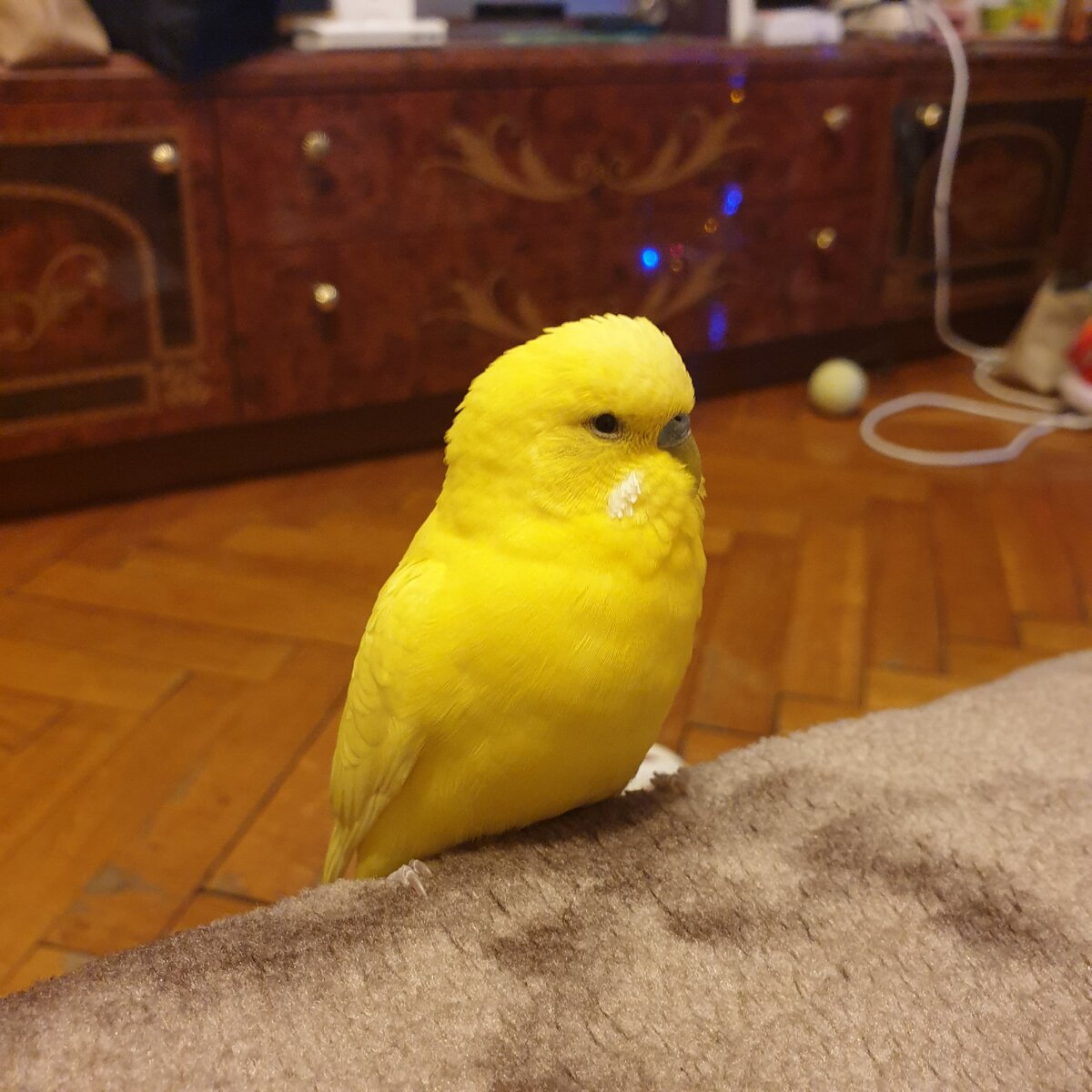 "Я никого не трогаю и вы меня не трогайте"