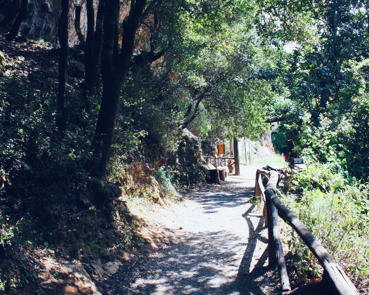 начало дороги