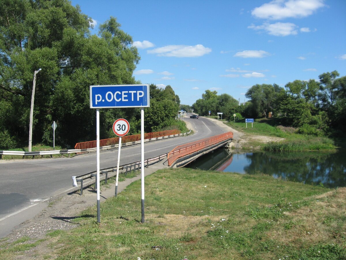 Осетр. Серебряные Пруды