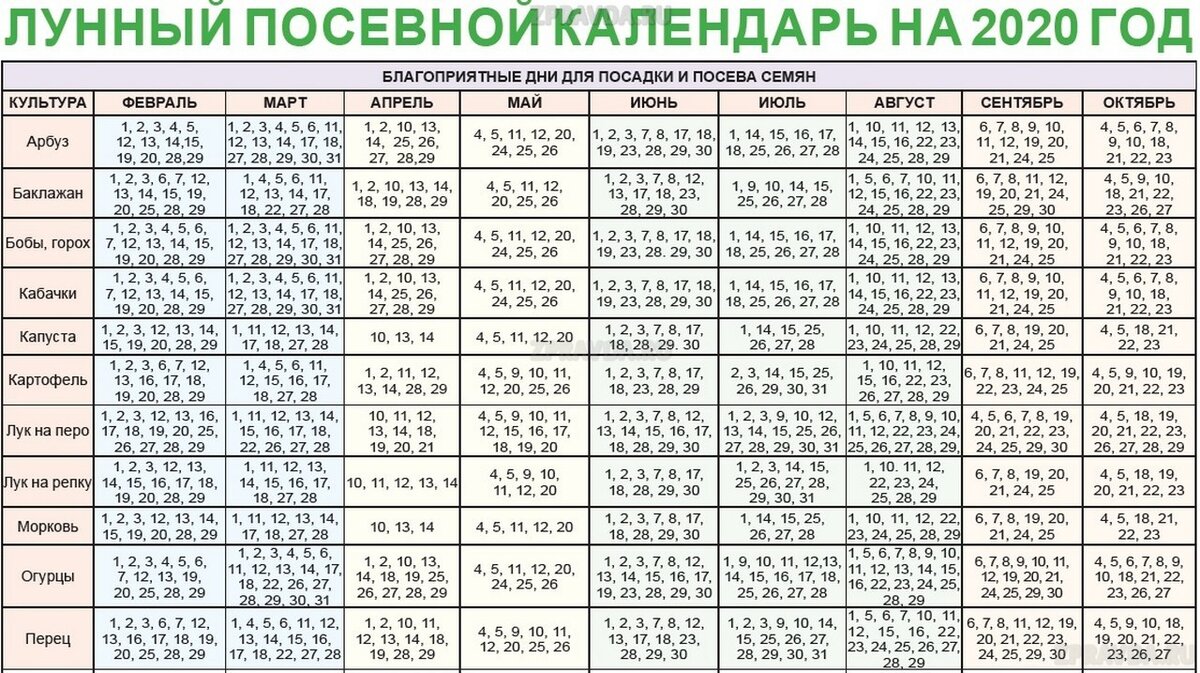 Лунный посевной календарь на 2020 год: Таблица благоприятных дней для  посадки различных культур по месяцам | Агрызские вести | Дзен