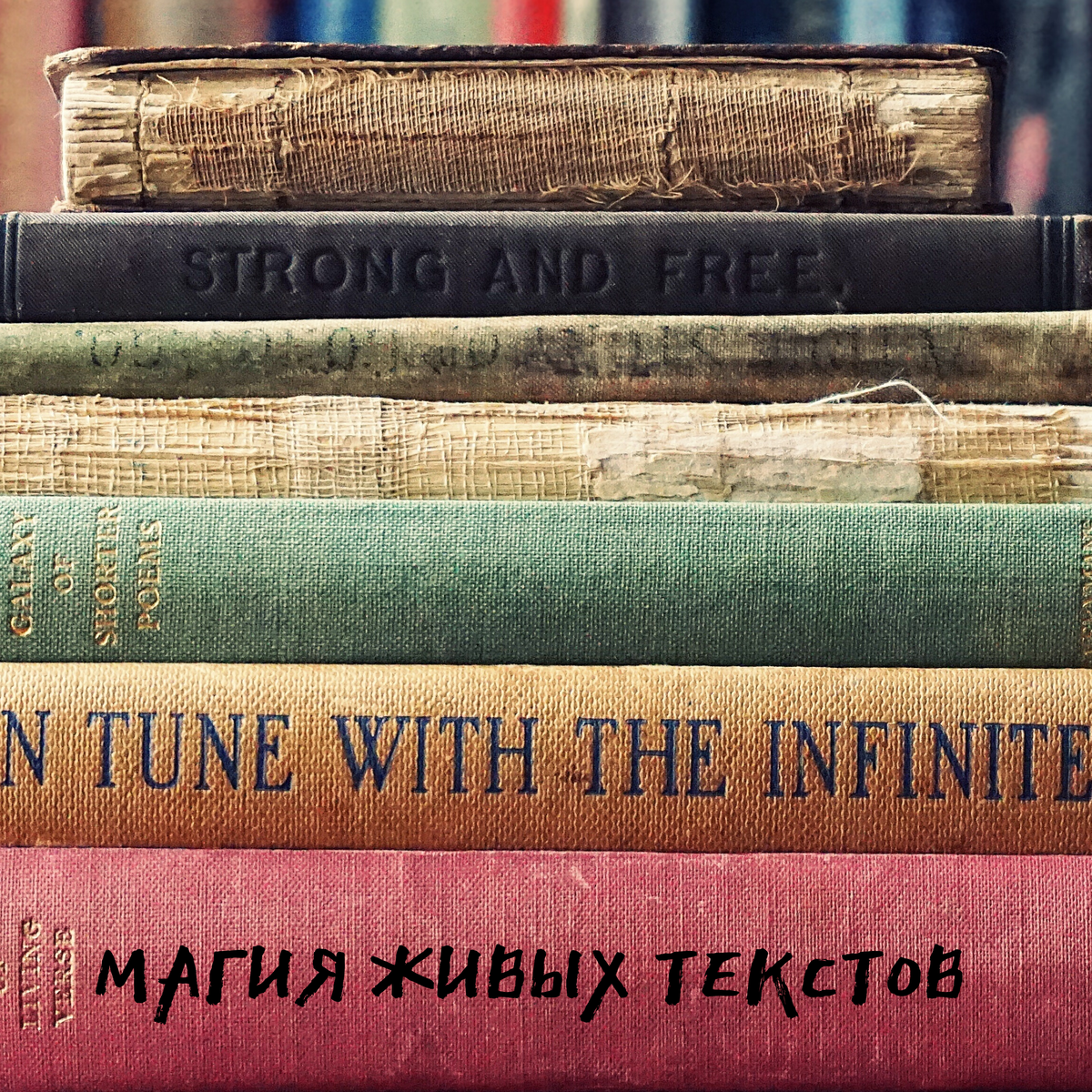 Фото из сети